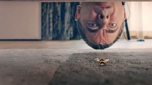 Man Vs Bee – 2022