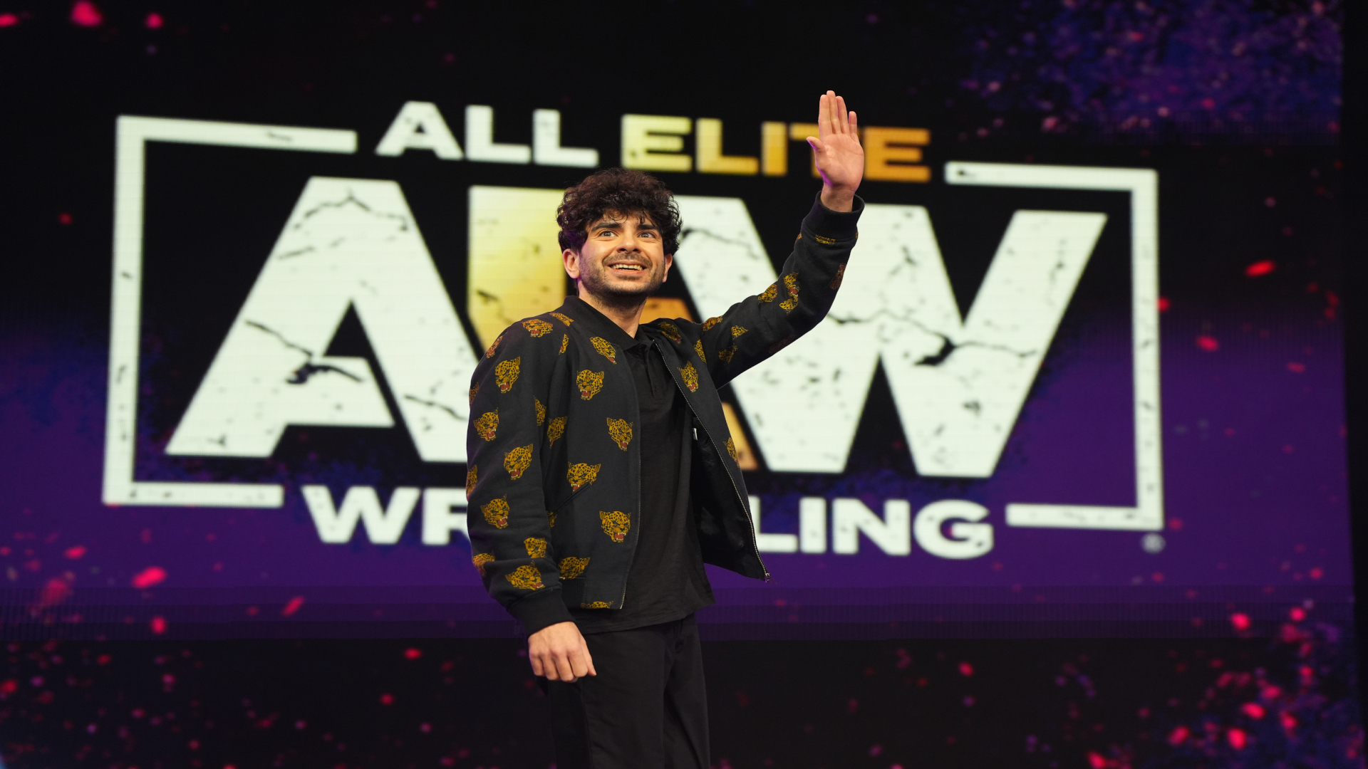 When is AEW All In 2024? Ticket info, fight card, how to watch and stream