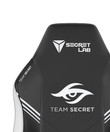 Team Secret Swatch