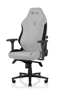 Secretlab TITAN Evo 2022 Series - Regular - Secretlab NEO™ Hybrid Leatherette Gaming Chair - Ash