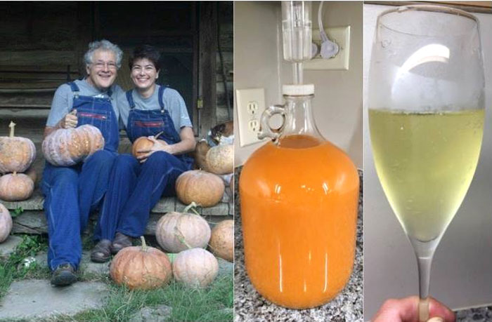 Cette photo qu'Andrea a envoyée nous rend heureux. De la citrouille à la bonbonne en passant par le verre, vous pouvez voir la transition de la citrouille vers le champagne.'s transition to champagne. 