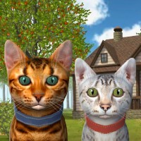 Cat Simulator 1677177154 Cat Simulator Kitties Family