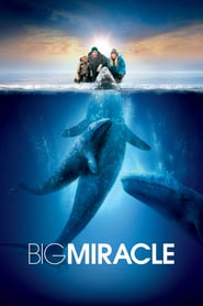 Nonton Movie Big Miracle (2012) Sub Indo