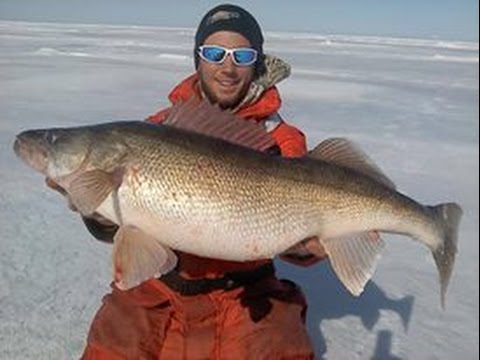 Lake Erie Awesome Ice Fishing for Hawgeye Walleye -...