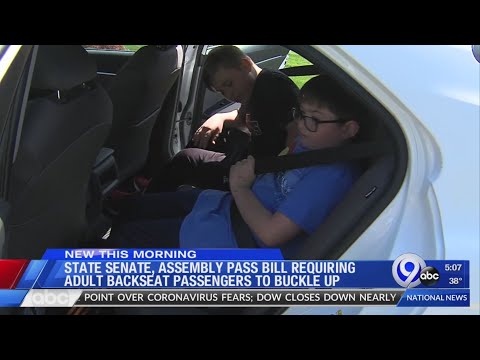 NYS State and Assembly pass bill requiring adult...