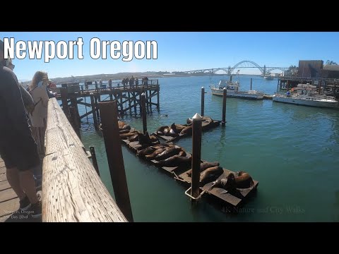 Newport, Oregon 2020 Travel Coastal City 4k Walking...