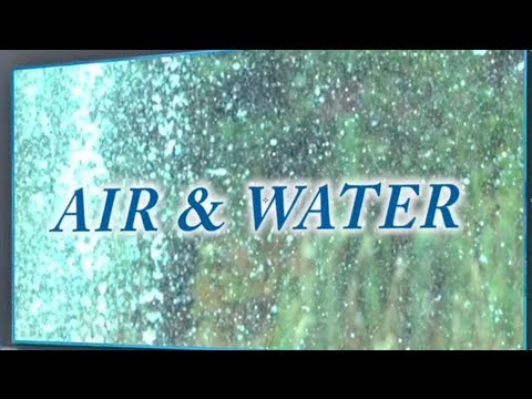 Horoscope Love Compatibility -- Air and Water Signs