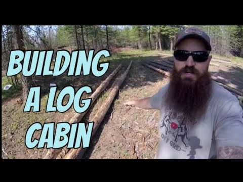 Pulling logs out of the woods: The Cabin build.
