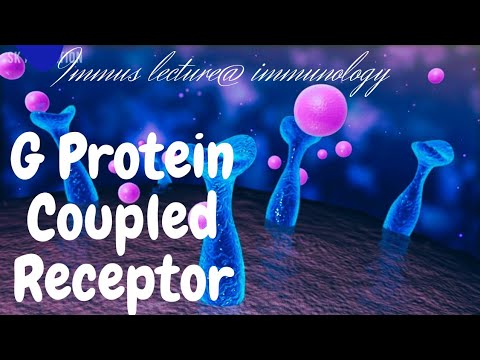 GPCR/G Protein Coupled Receptor/signal transduction...