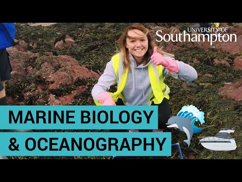 Study Marine Biology and Oceanography | University of...