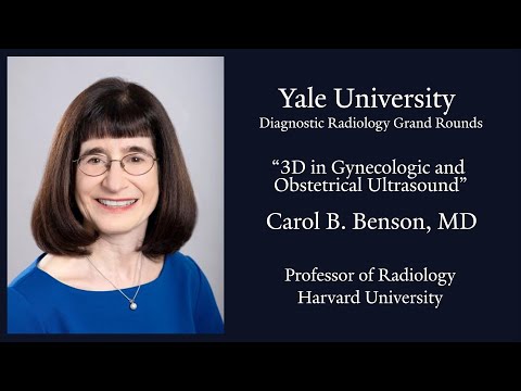 3D in Gynecologic and Obstetrical Ultrasound