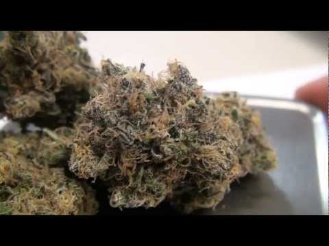 Van Nuys Collective - Delta 9 Collective Dispensary...