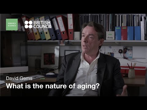 Causes of Aging — David Gems / Serious Science