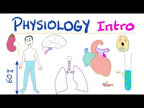 Physiology Introduction | The Scientific Study Of...