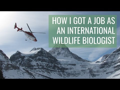 How I got my WILDLIFE BIOLOGIST job // & TIPS for...