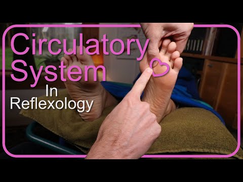 How to Work the Circulatory System in Foot Reflexology