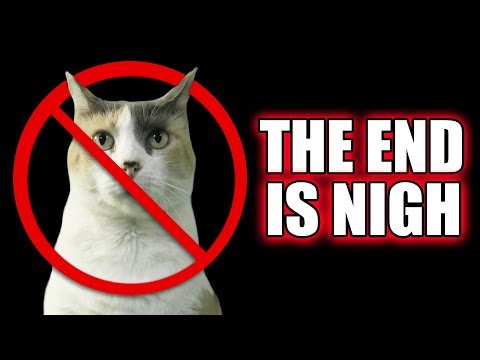 THE END OF CREATIONIST CAT : INCOMING