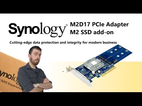 The Synology M2D17 PCIe M.2 SSD Cache Adapter Card for...