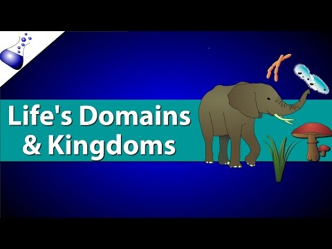 Domains and Kingdoms of life