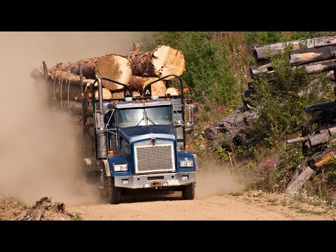 Logging Workers Career Video