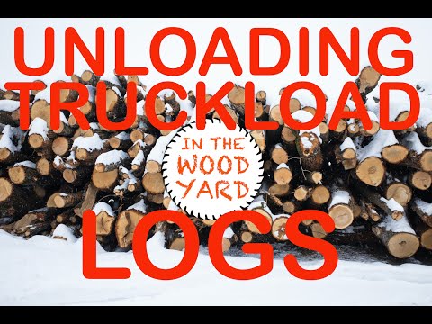 #201 - Log Truck Unloading Wood and Piling Firewood
