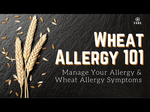 Food Allergy 101: Wheat Allergy Symptom | Wheat...