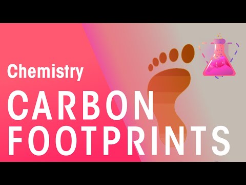 What Are Carbon Footprints | Environmental Chemistry |...