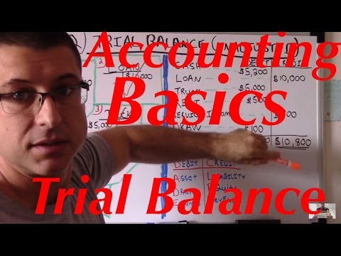 Accounting For Beginners #22 / Trial Balance...