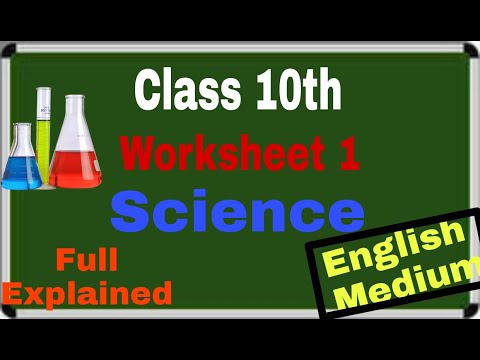 Class 10th Science Worksheet No. 1 All Answers...