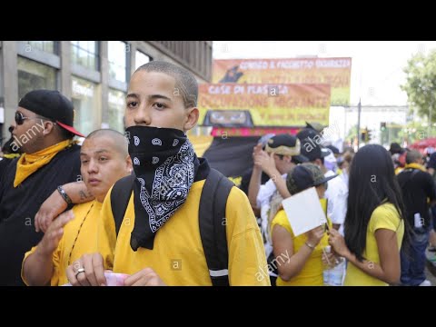 LATIN KINGS VS LOOTERS - CHICAGO (BEST COMPILATION)
