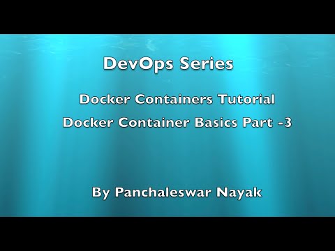 Docker Container Tutorial: Continuing Docker commands,...