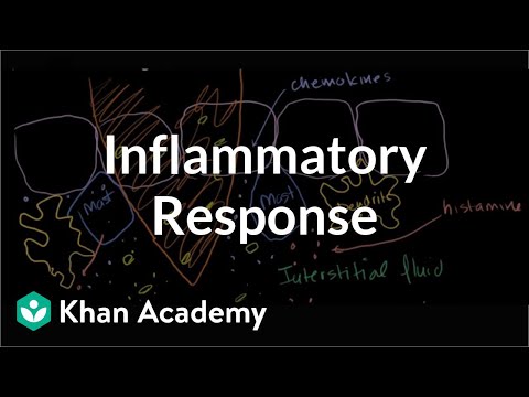 Inflammatory response | Human anatomy and physiology |...