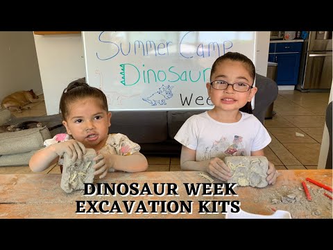 Dinosaur excavation kit At Home Summer Camp