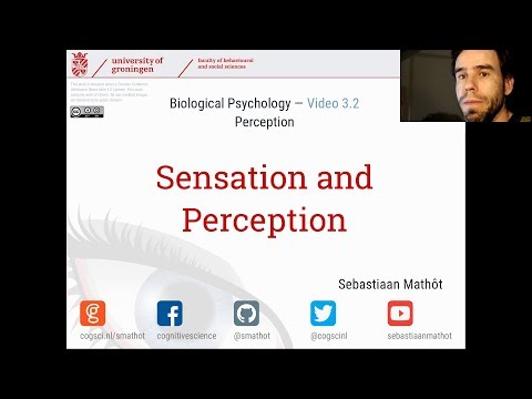 Sensation and Perception | Biological Psychology 3.2