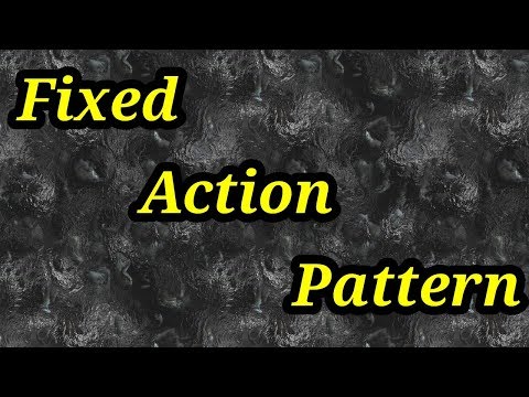 Fixed action pattern behavior