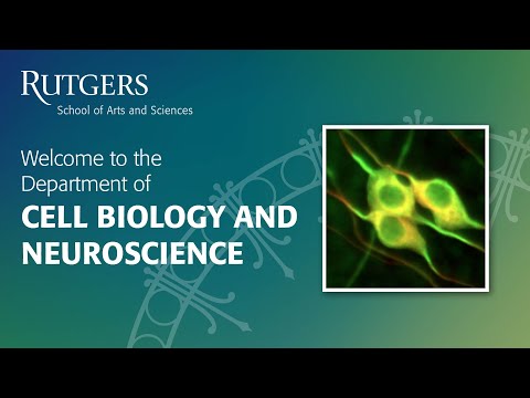 Rutgers (NB) Cell Biology and Neuroscience