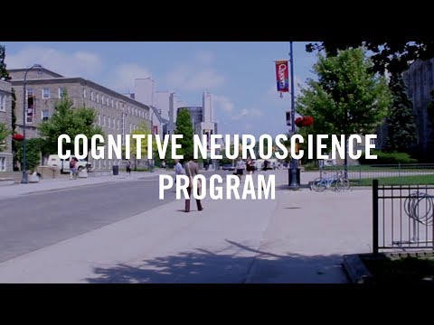 Cognitive Neuroscience Graduate Program