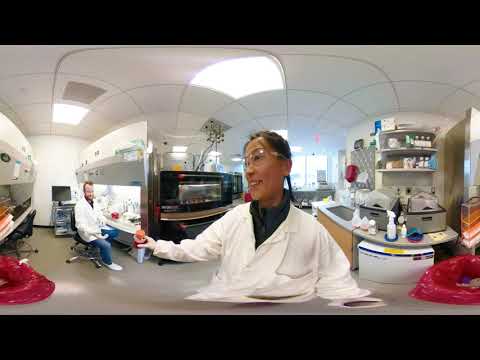 Novartis in 360 Ɩ Experience collaboration in action