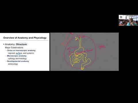 Human Anatomy and Physiology, Chapter 1_ The Human...