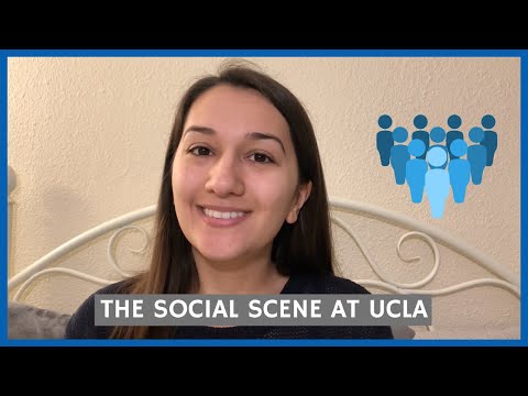 Do Transfer Students Fit in at UCLA?