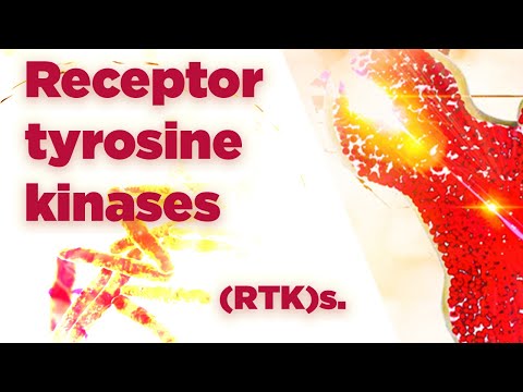 Receptor tyrosine kinases | (RTK)s | Cell Signaling