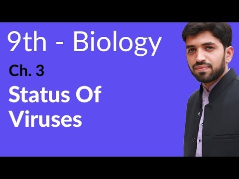 History of Classification Systems (D) Biology - Ch 3...