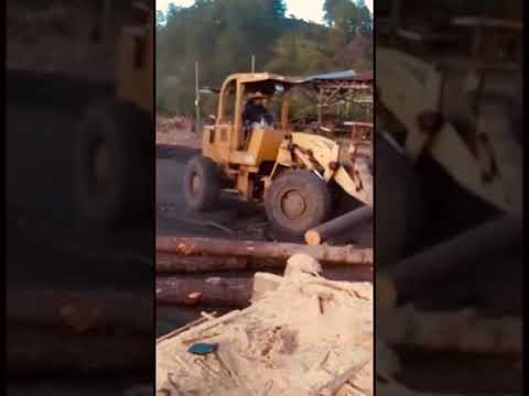 El primo en acción (loading logs on semi truck