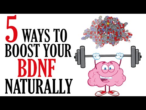 How to Increase BDNF Naturally | Boost Brain Power