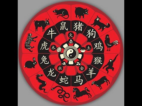 Detailed Information About the Chinese Zodiac Symbols...