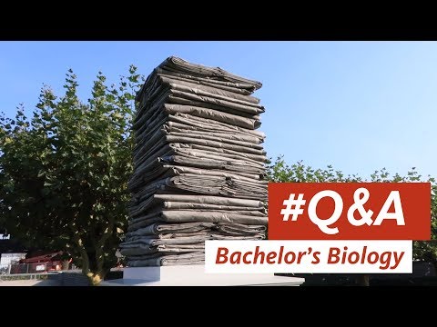 Q&A - Bachelor's Biology - Radboud University