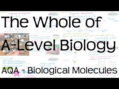 The Whole of AQA A-Level Biology | Biological...
