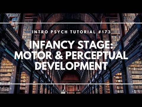 Infancy Stage: Motor & Perceptual Development (Intro...