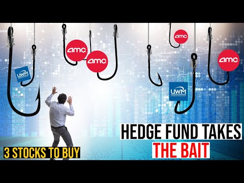 A NEW HEDGE FUND JUST SHORTED AMC STOCK!! - My...