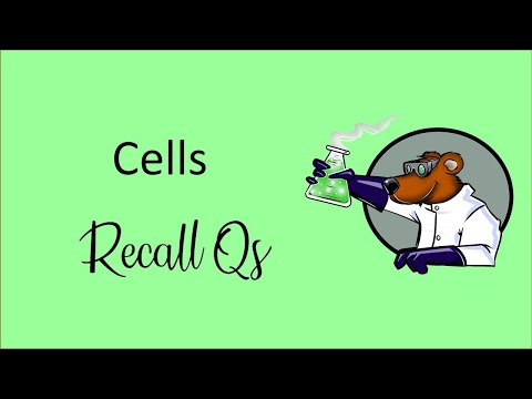 AQA GCSE Biology / Combined Science Unit 1 - Cell...